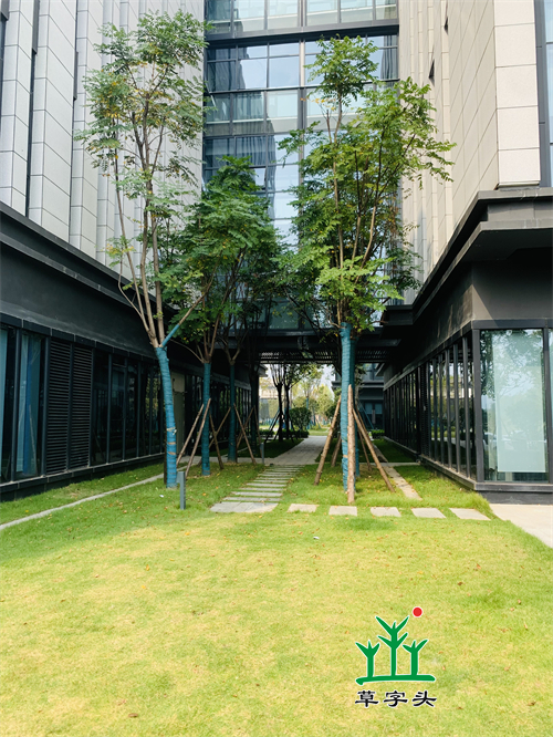 湖南草字頭生態(tài)環(huán)境建設有限公司,人造草坪假草皮,湖南雨水收集處理工藝